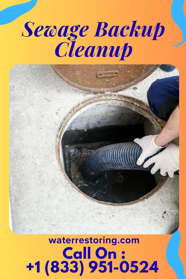 Sewage Backup Cleanup in Foss, OK