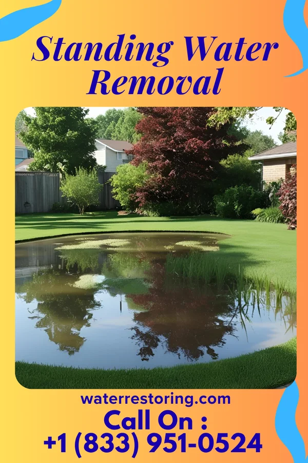 Standing Water Removal in Foss, OK